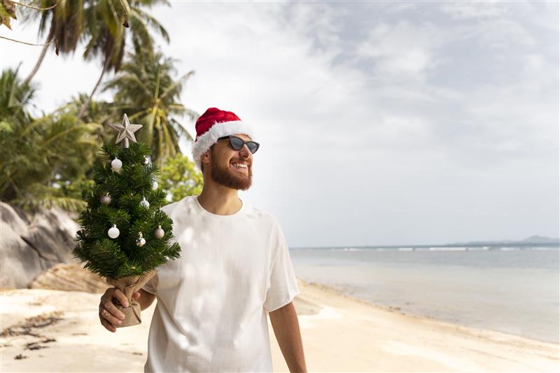 Holiday-Homer